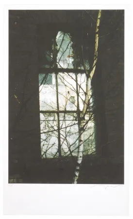 Digitale Druckgrafik Leick - La fin d’un monde VI