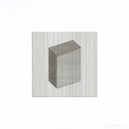 Siebdruck Lewitt - Twelve Forms Derived From a Cube 18