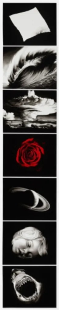 Multiple Longo - Essentials (from the Forty Are Better Than One series)