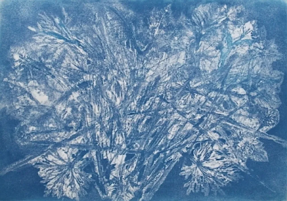 Radierung Und Aquatinta Messagier -  Machine à Printemps 