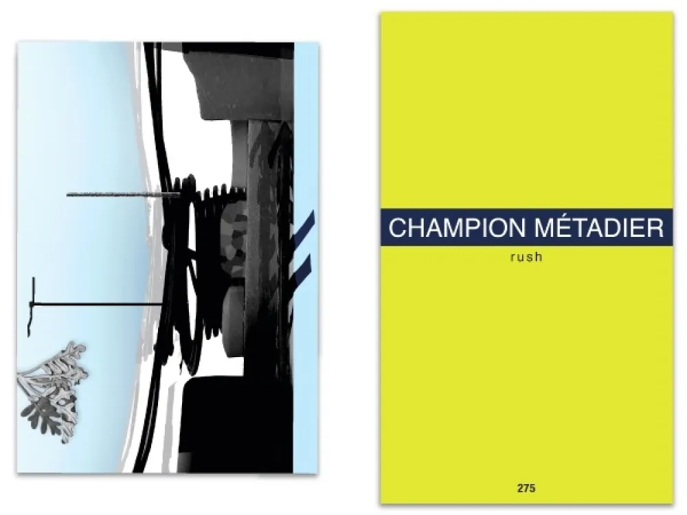 Illustriertes Buch Metadier - L'art en écrit