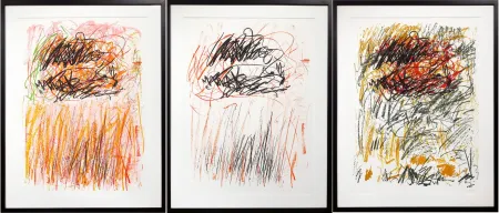 Lithographie Mitchell - Flowers I-III from Bedford Series