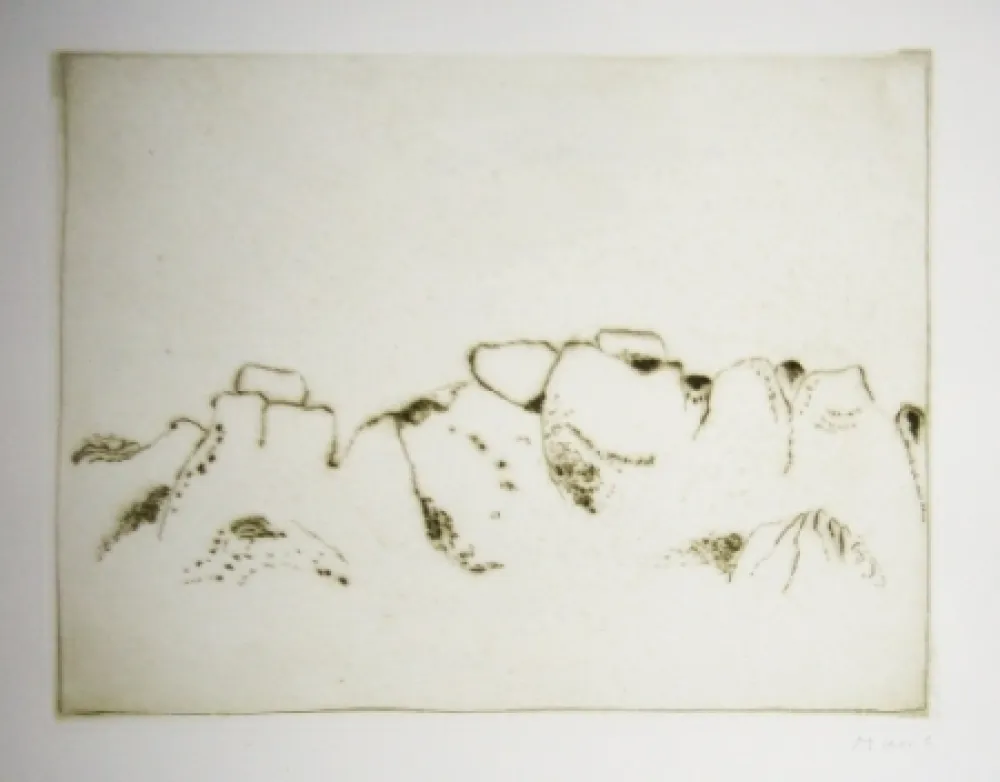 Radierung Und Aquatinta Music - Jardins