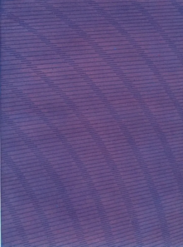 Illustriertes Buch Napoleone - Rimanenze