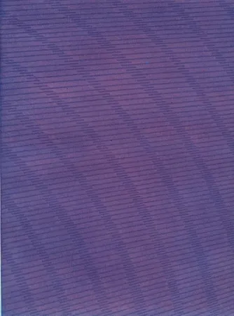 Illustriertes Buch Napoleone - Rimanenze