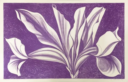 Hochdruck Nesbitt - IRIS