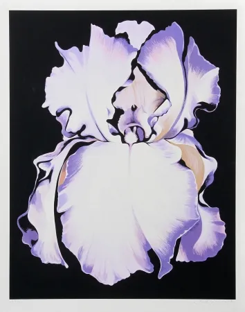 Siebdruck Nesbitt - White Iris on Black