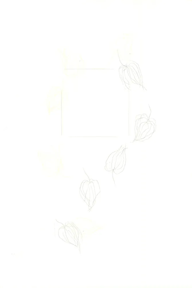 Stich Nishikawa - Physalis