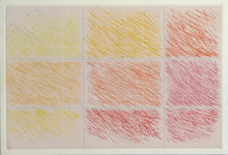 Radierung Und Aquatinta Noland - Marron