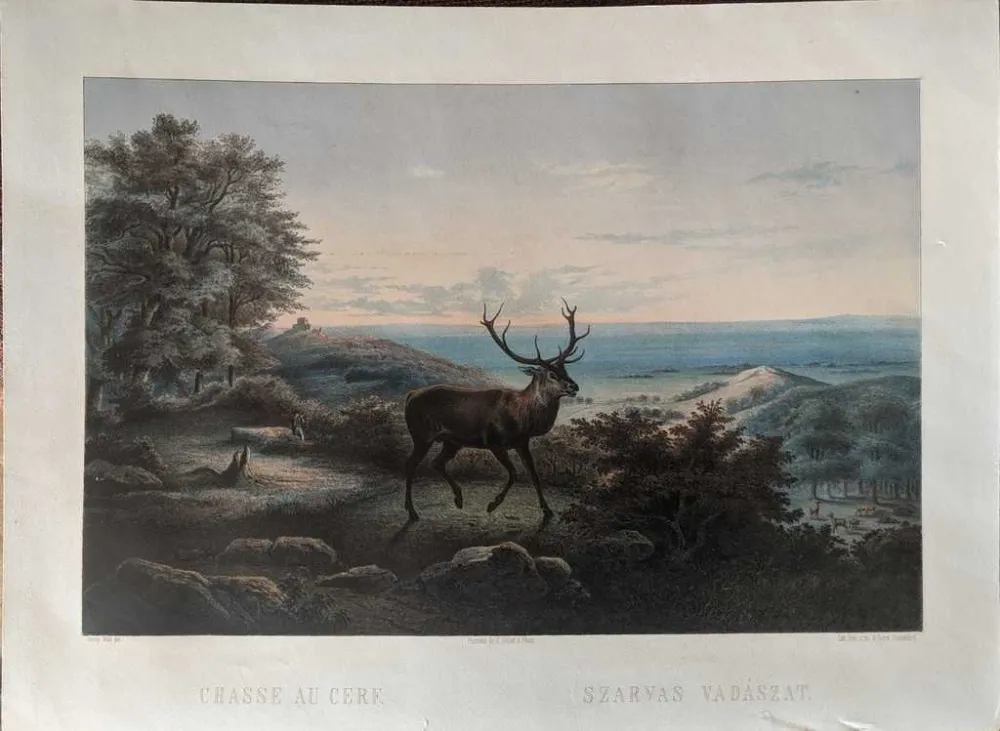 Keine Technische Orczy - Chasse au cerf / Szarvas vadászat