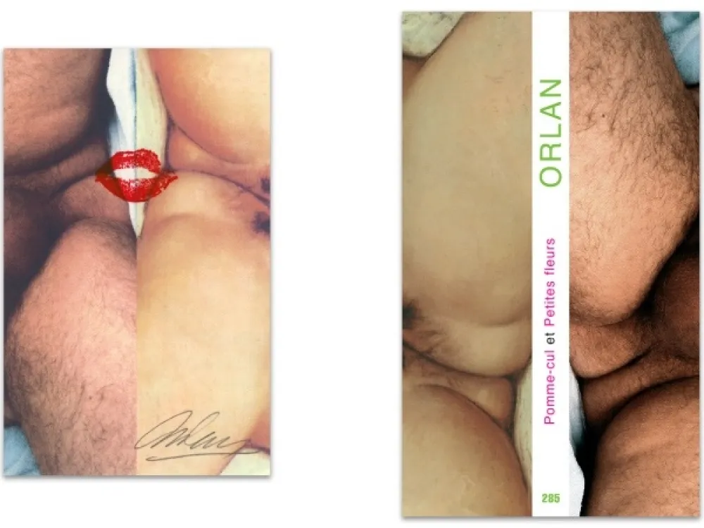 Illustriertes Buch Orlan - L'art en écrit