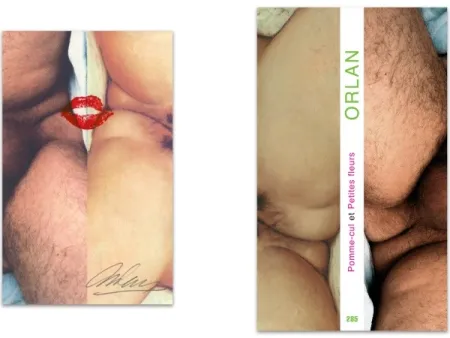 Illustriertes Buch Orlan - L'art en écrit