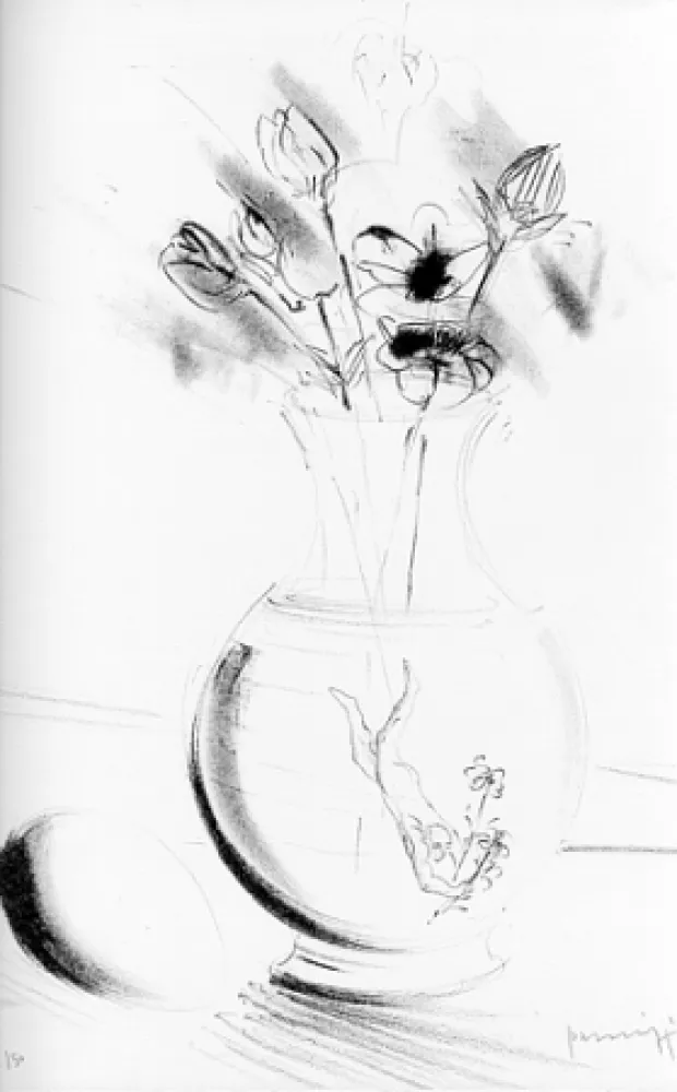 Illustriertes Buch Parmiggiani - Satyavati