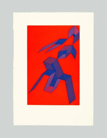 Radierung Und Aquatinta Perilli - Rodra