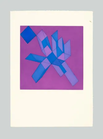 Radierung Und Aquatinta Perilli - Viodra