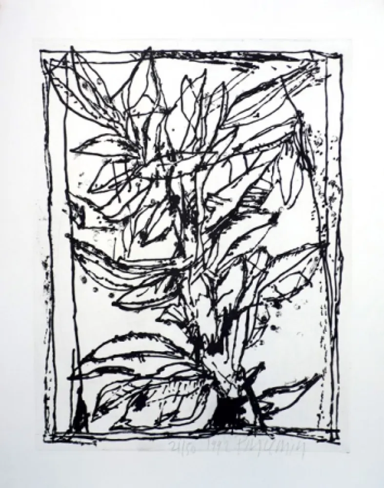 Aquatinta Pincemin - Sans titre