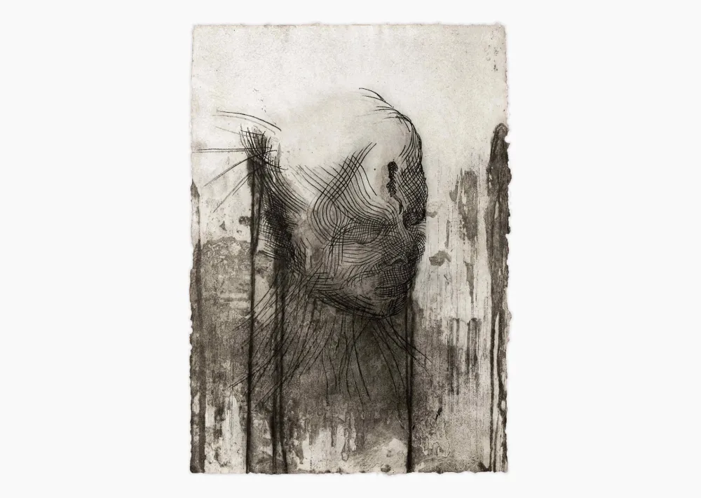 Stich Plensa - Twins 1