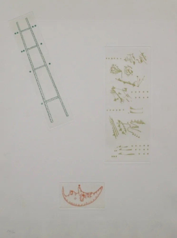 Stich Ponç - Composició