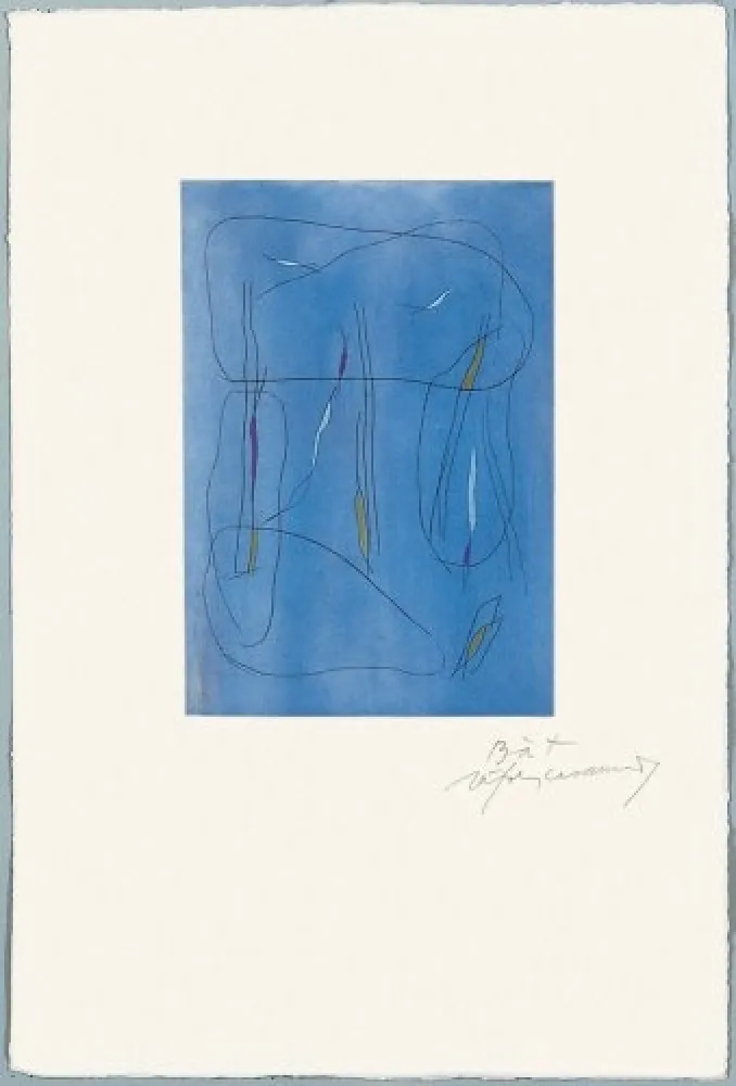 Stich Ràfols Casamada - El bosc -3