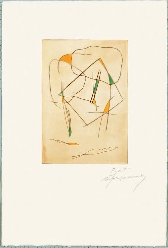 Stich Ràfols Casamada - El bosc -6