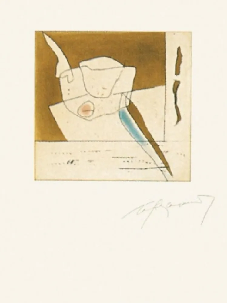 Stich Ràfols Casamada - Finestres-8	 