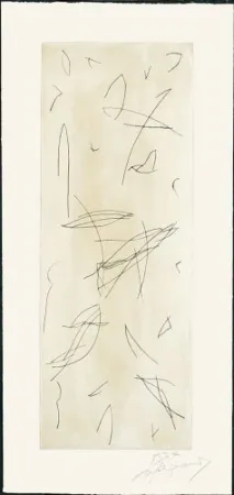 Stich Ràfols Casamada - Ocells-1