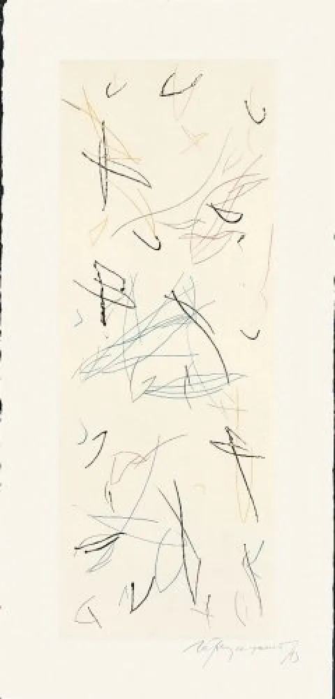 Stich Ràfols Casamada - Ocells-Variant 1-2