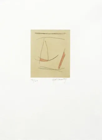 Stich Ràfols Casamada - Signe i colors