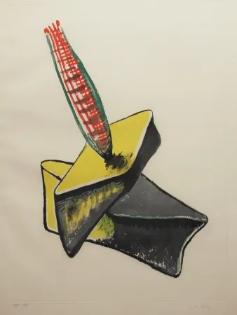 Radierung Und Aquatinta Ray - Transfiguration d'un cactus