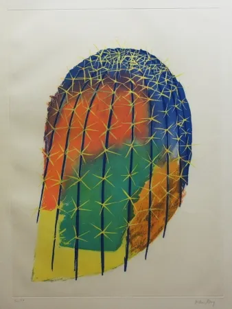 Radierung Und Aquatinta Ray - Transfiguration d'un cactus