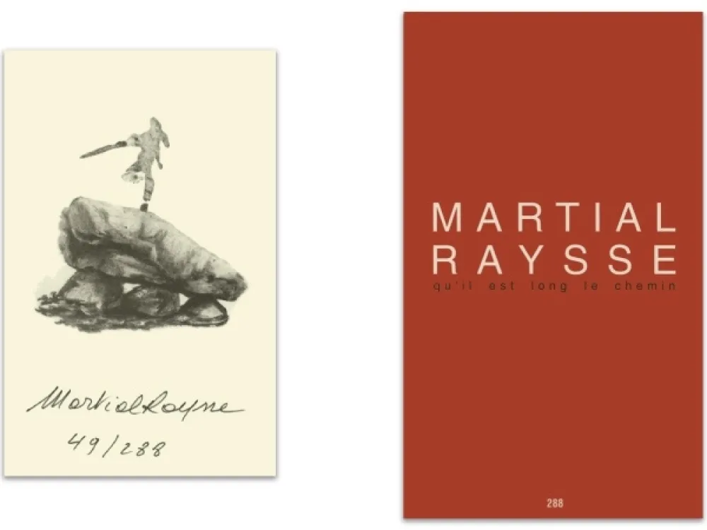 Illustriertes Buch Raysse - L'art en écrit