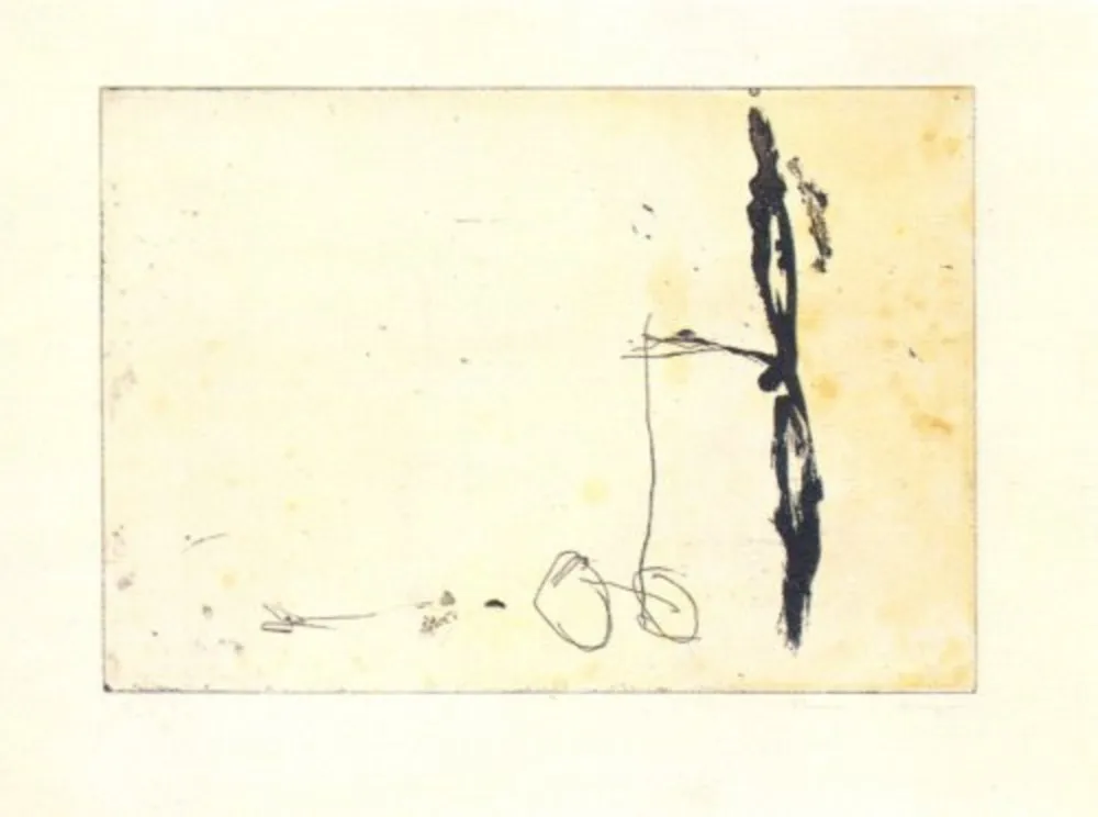 Stich Riera I Aragó - Avió (dreta)