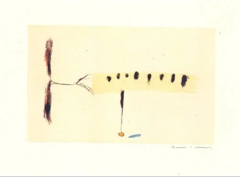 Stich Riera I Aragó - Avió mig-4