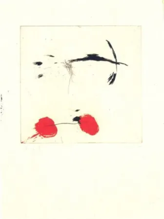 Stich Riera I Aragó - Avió petit rodes vermelles