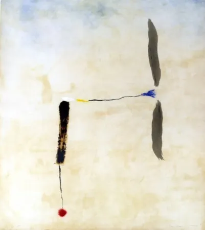 Stich Riera I Aragó - Avió roda vermella