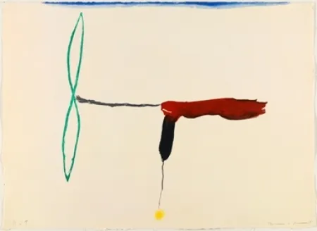 Stich Riera I Aragó - Avión hélice verde