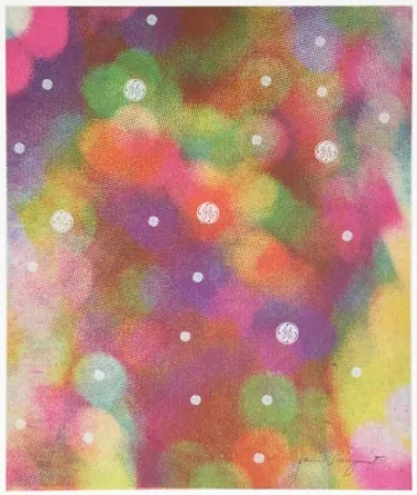 Siebdruck Rosenquist - Circles of Confusion