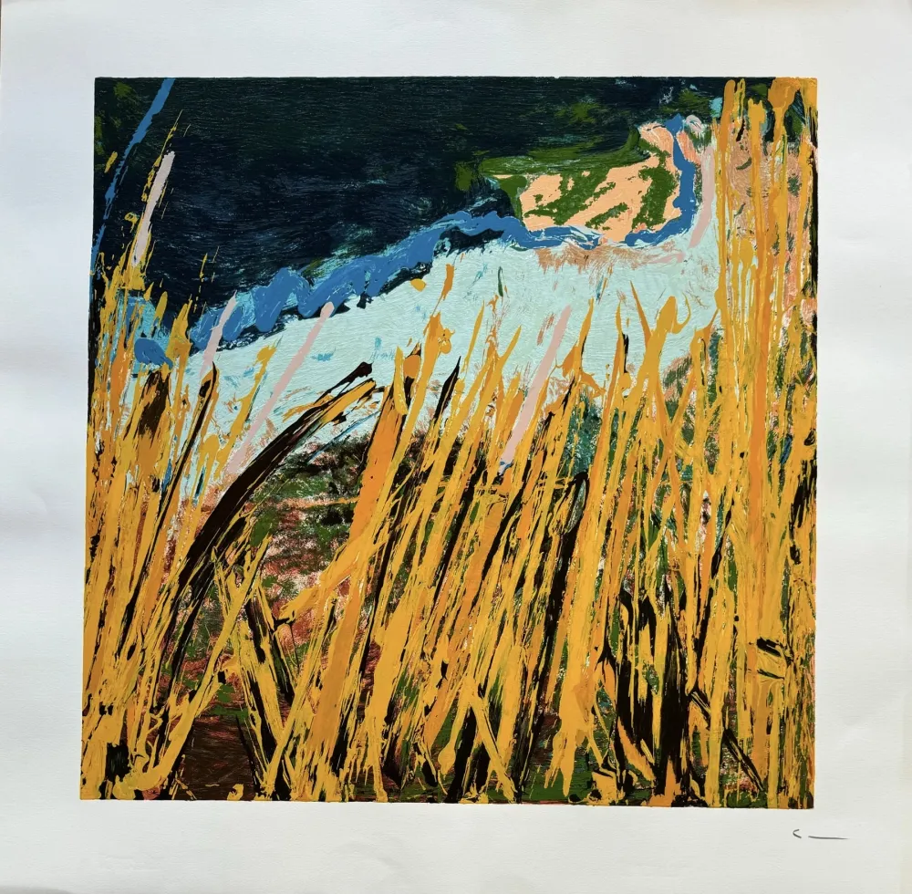 Lithographie Schifano - Mario Schifano (1934–1998) - Campi da terra - Enamel screen printing - 1990