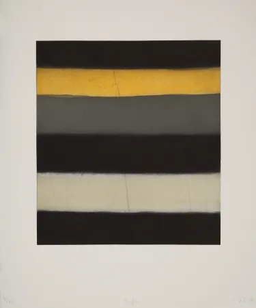 Aquatinta Scully - Yellow