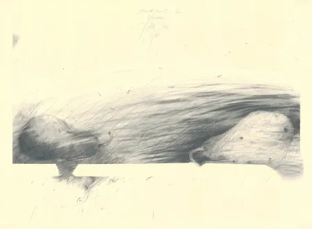 Keine Technische Sensen - Mettnau 12 — 2 Birne