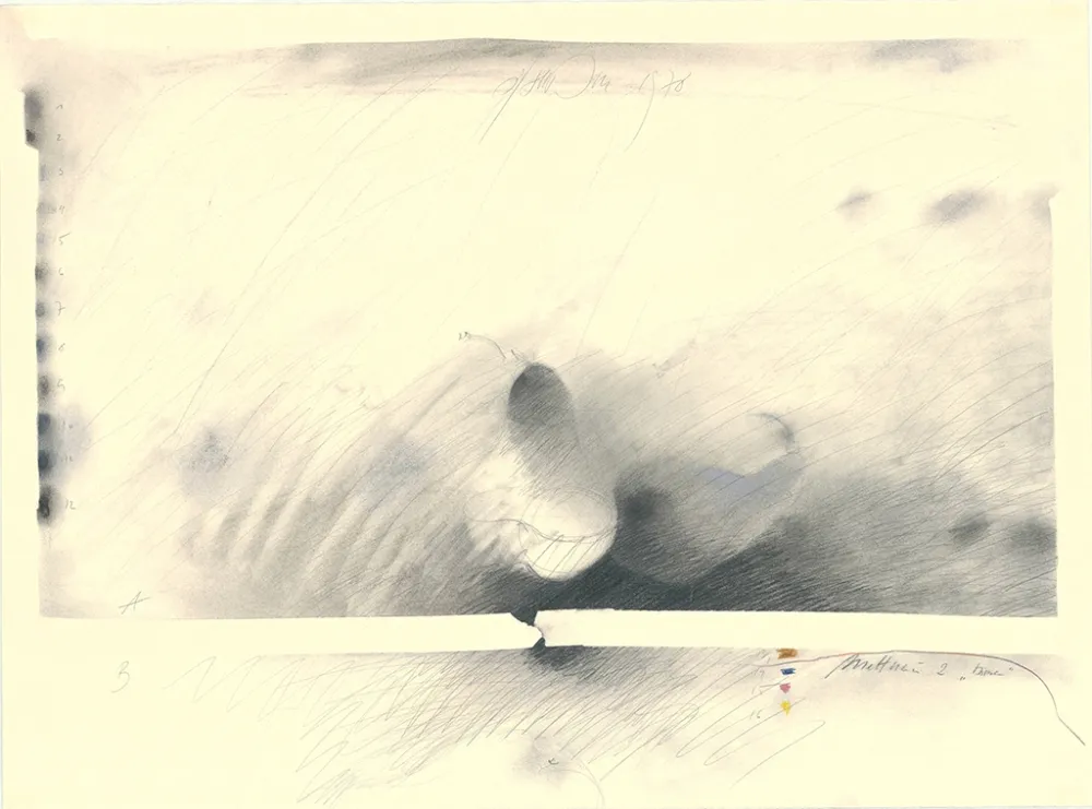 Keine Technische Sensen - Mettnau 2 — Birne