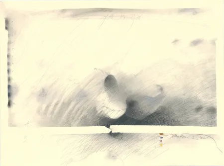 Keine Technische Sensen - Mettnau 2 — Birne