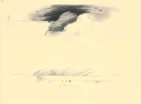 Keine Technische Sensen - Mettnau 6— 2 Birnen