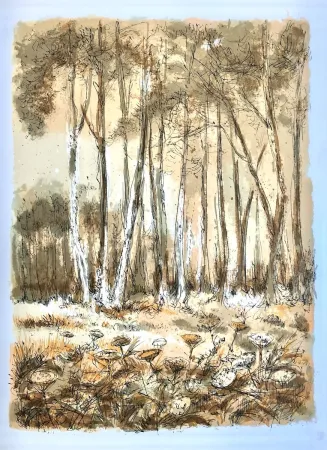 Lithographie Steinlen - Forêt voisine