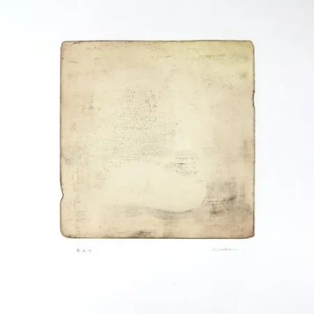 Stich Su - Intactness A