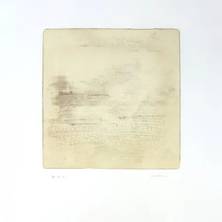 Stich Su - Intactness C