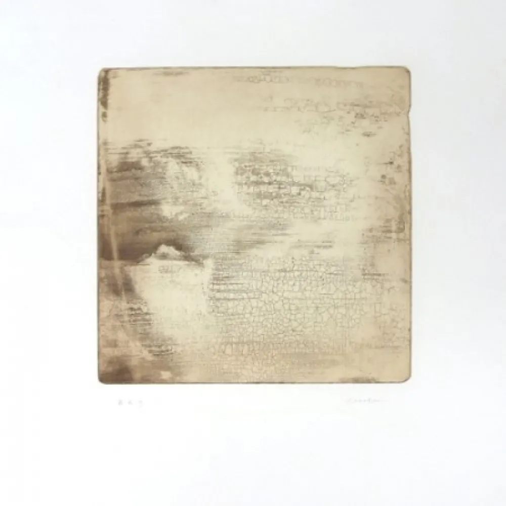 Stich Su - Intactness E