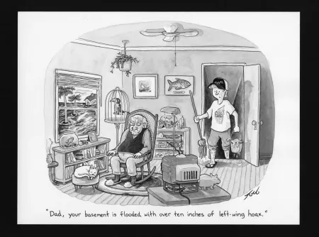 Keine Technische Toro - Left-Wing Hoax