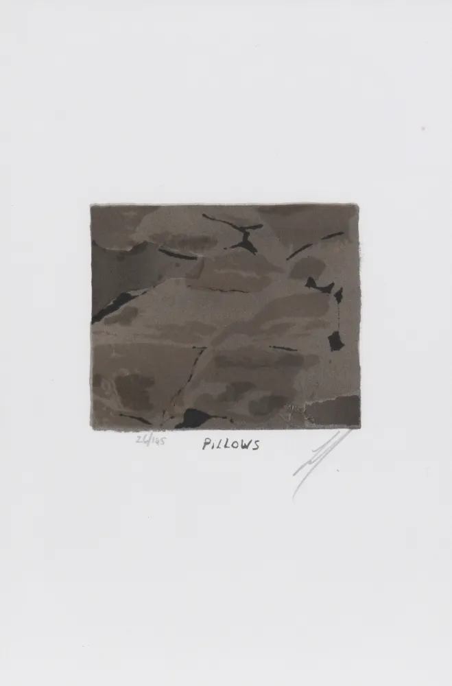 Lithographie Tuymans - Pillows