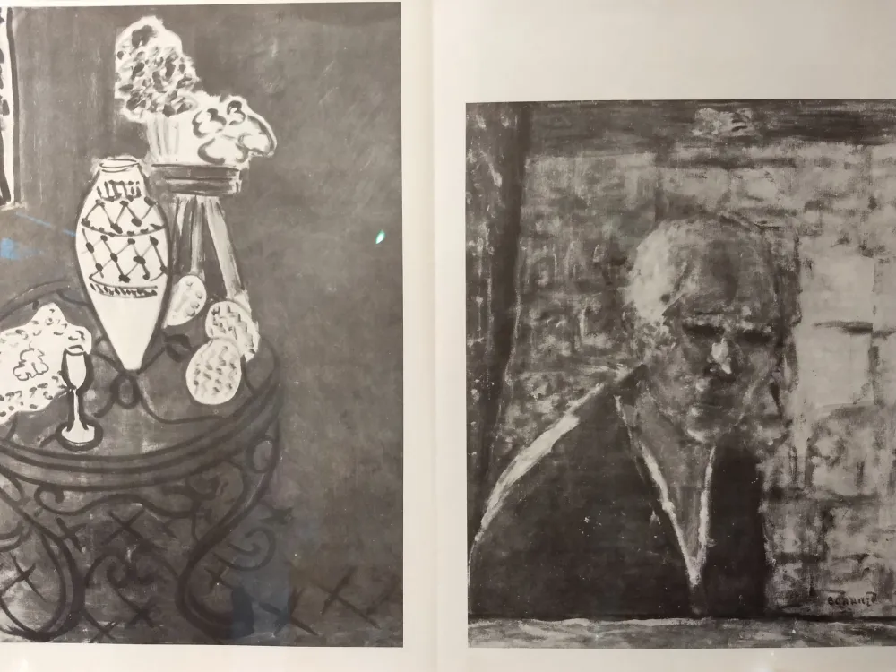 Illustriertes Buch Van Velde - DLM no1